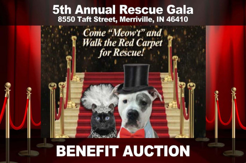 Benefit Auction - 5th Annual Rescue Gala - Saturday, April 13, 2024