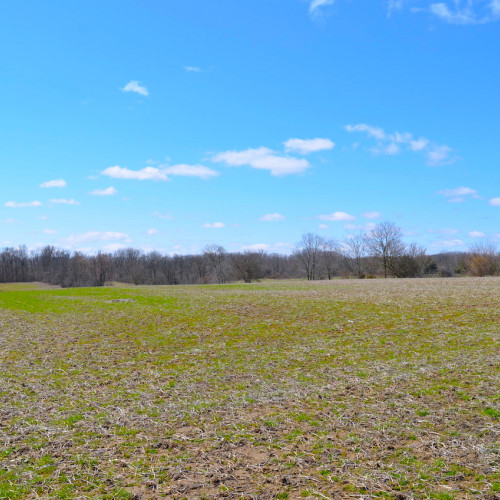 19 Acres of Farm Ground and Personal Property Auction
