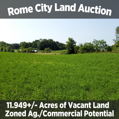 11.949+/- Acres of Vacant Land in Rome City